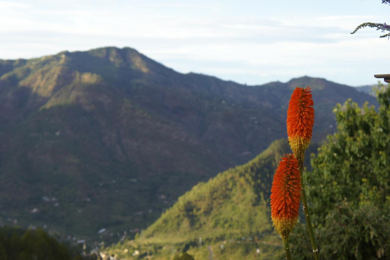 The Ramgarh Retreat Rāmgarh Exteriör bild